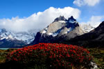 torresdelpaine
